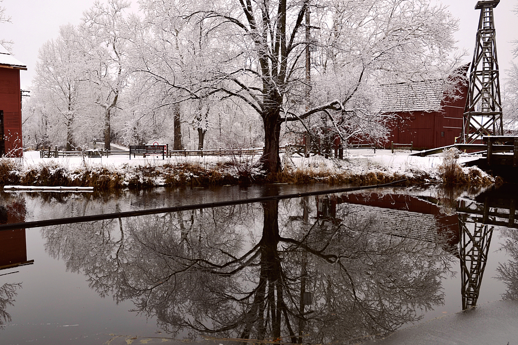 Circle of Life Reflection