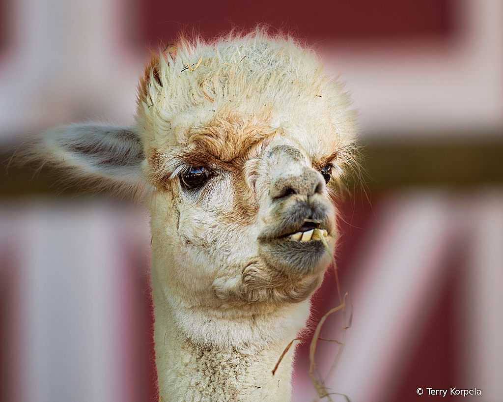 Just a Bit Grumpy!!