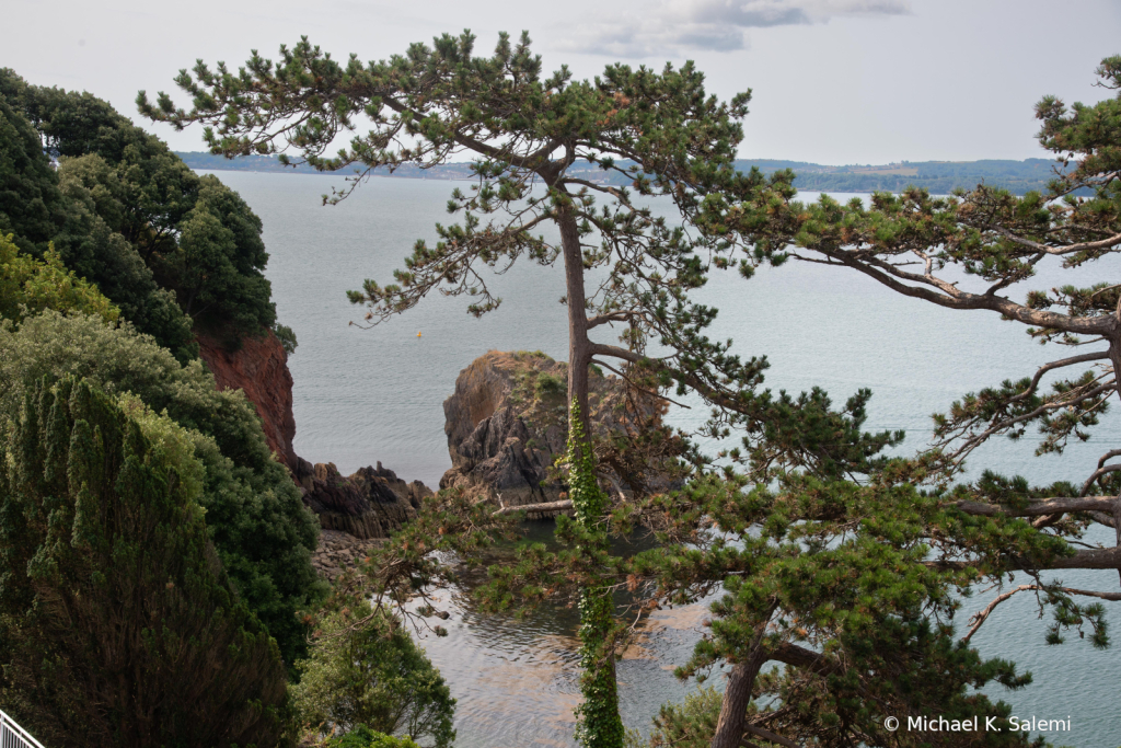 View from Torquay