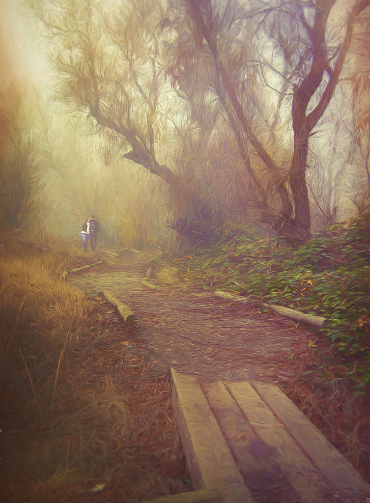 Romantic walk in fog