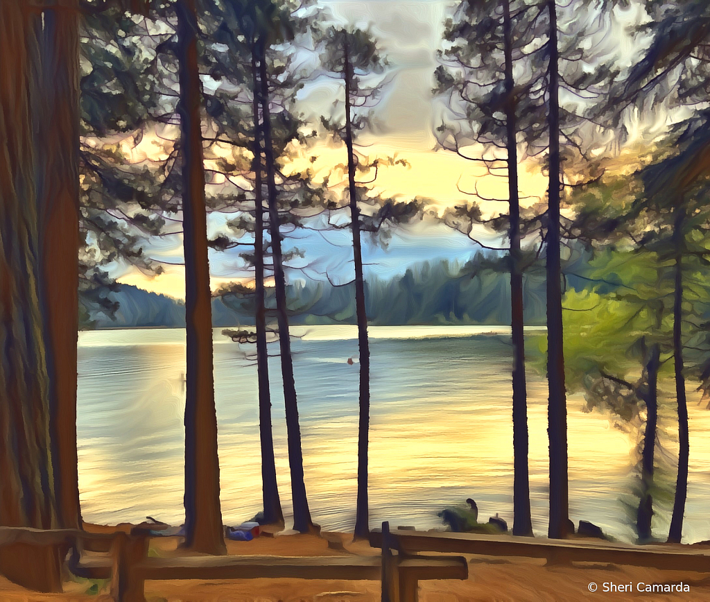 Peaceful Morning on the Water
