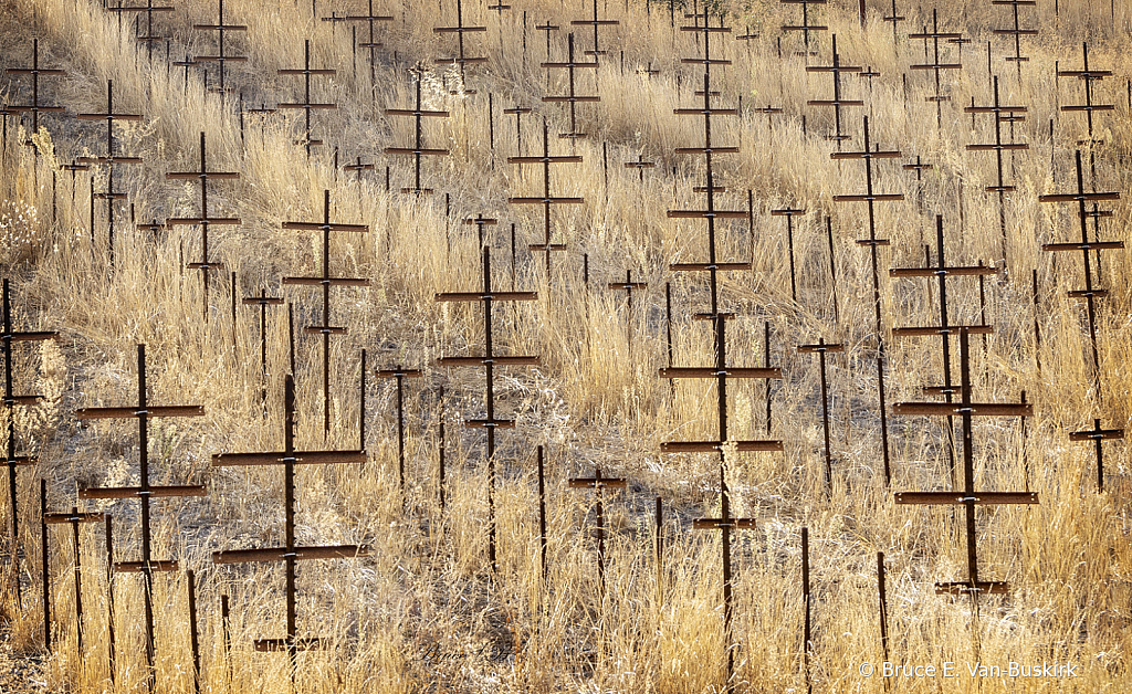 Crosses? no vine supports for a future vineyard
