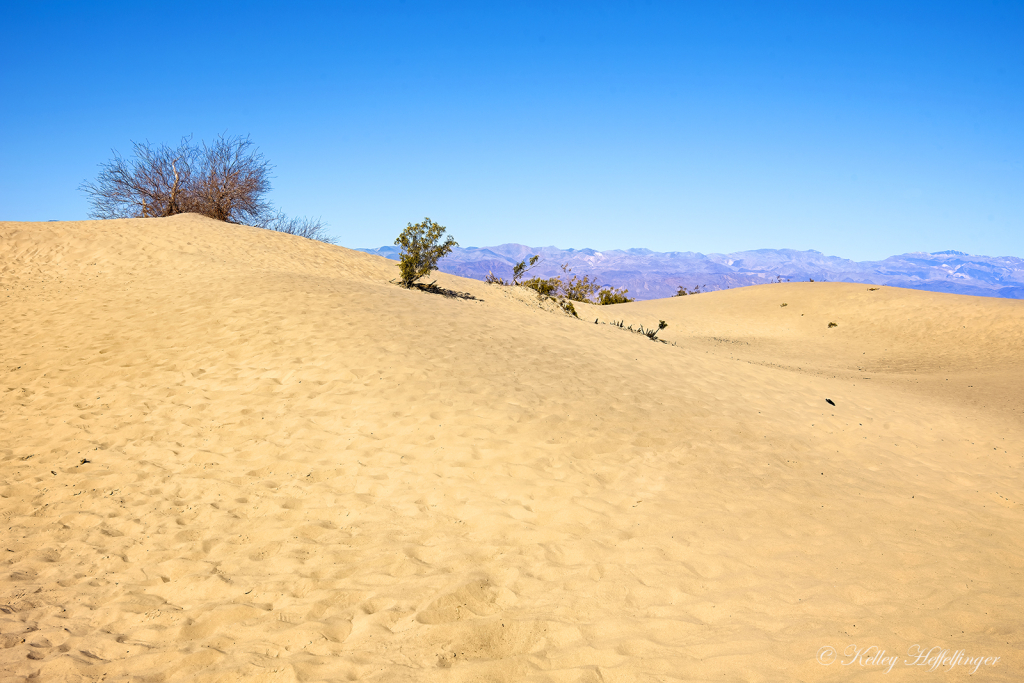 Desert Day