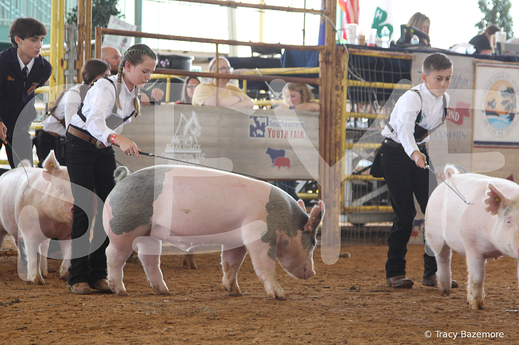 swine8012