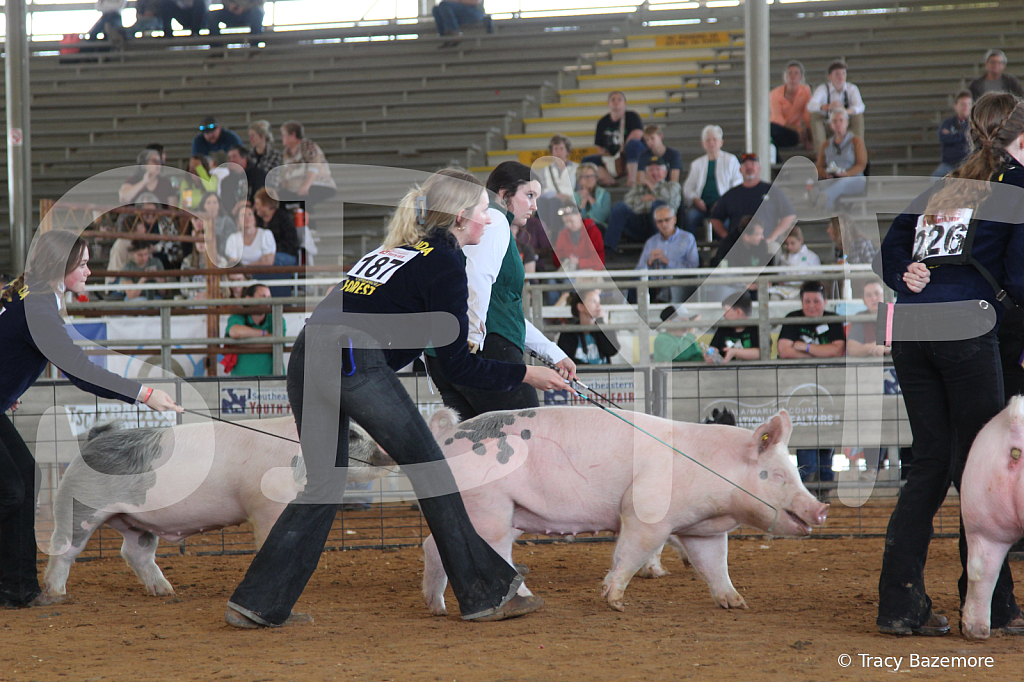 swine7632