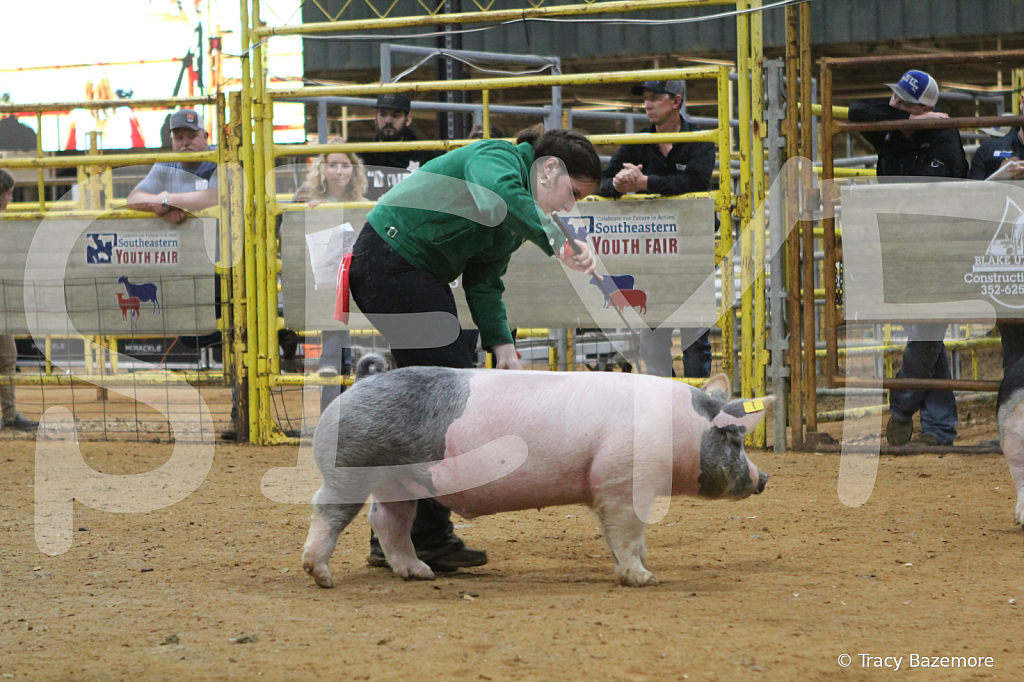swine8626