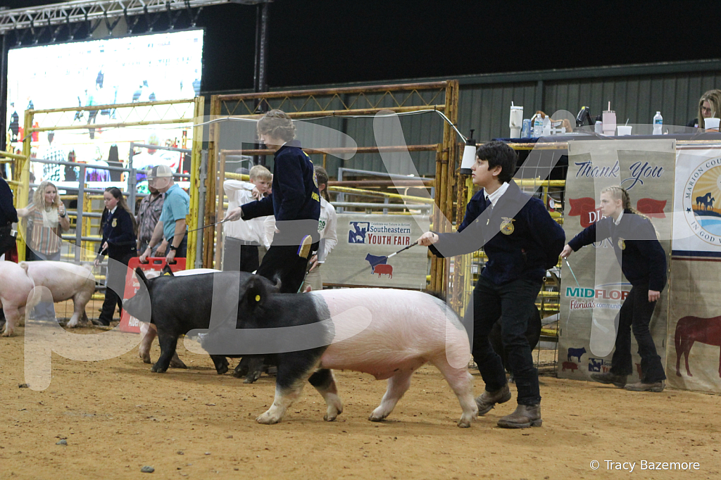 swine8952