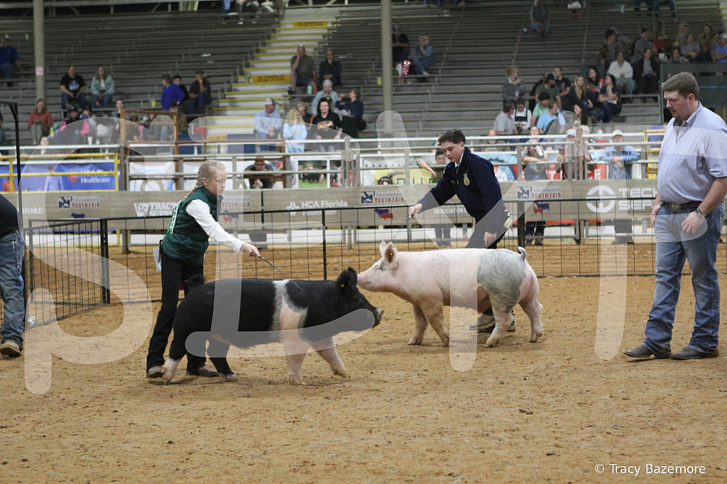 swine9015