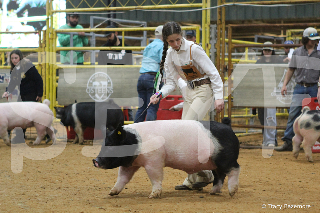 swine8699
