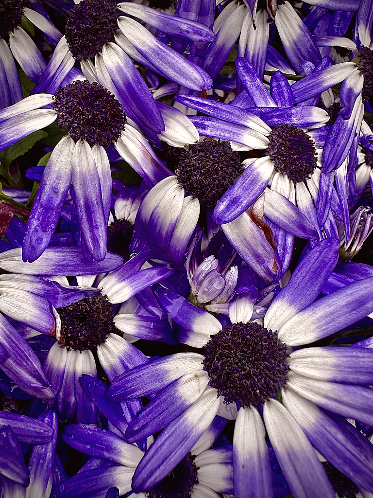 72
