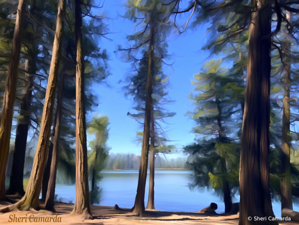 Sly Park Lake, California 
