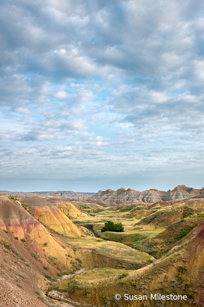 2686 Badlands Valley