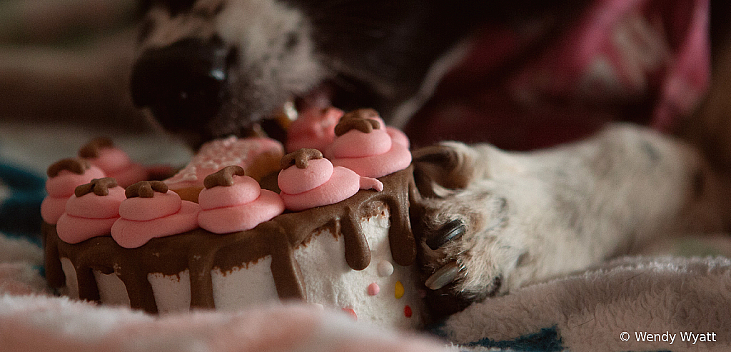 Best Friends Birthday