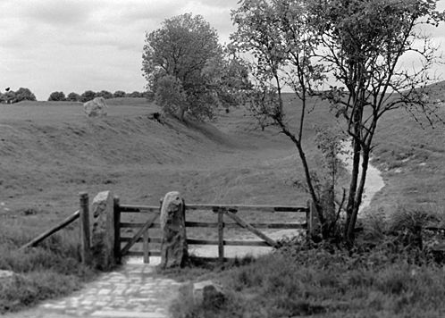 Tree, Path and Kissing Gate