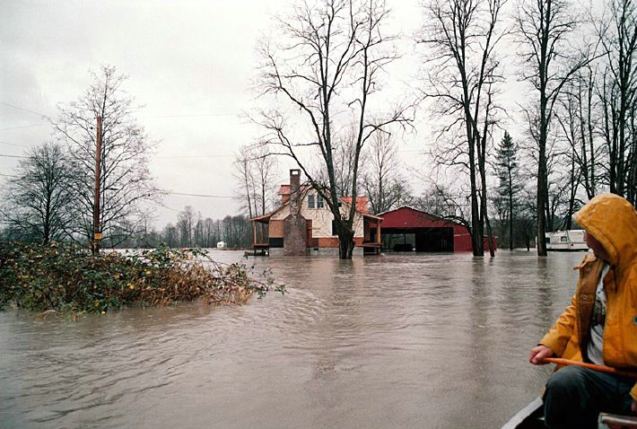Flood View - ID: 1169 © Jim Miotke