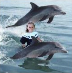 Claire and the dolphins