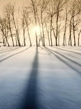 Alberta Winter