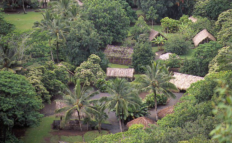 Hawaii Huts from Above