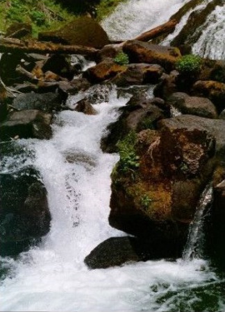 Below Fall Creek Falls