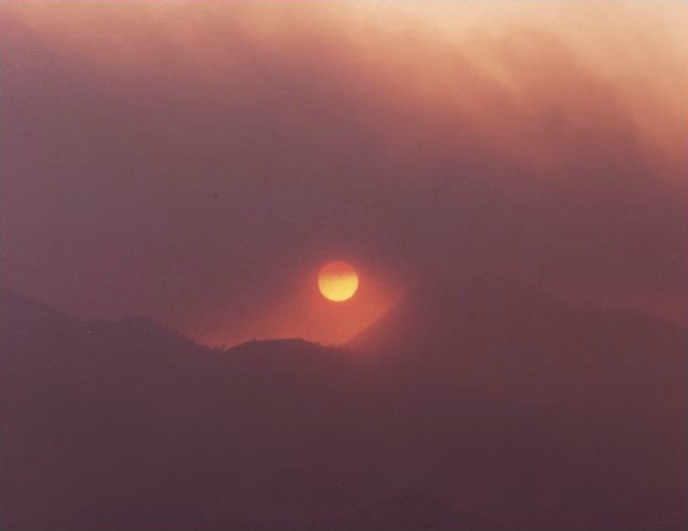 "Forest Fire in The Sierra's"