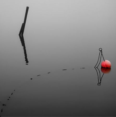 Red in Fog