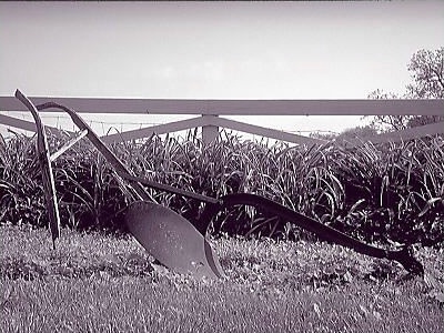 Tired Old Plow (B/W Orthochromatic)