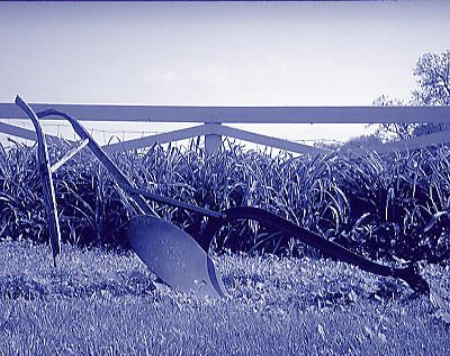 Tired Old Plow (Cyanotype or Blueprint)