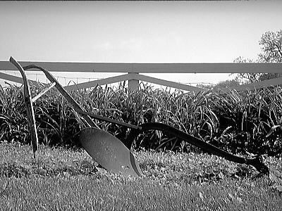 Tired Old Plow (B/W Ortho)