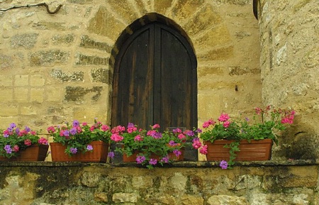 Flowers in La Roque