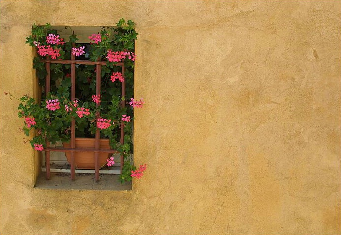 Roussillon Window