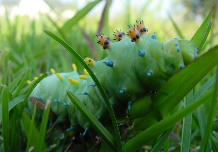 Nature on the Ground Floor