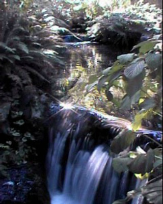 Garden Pond falls