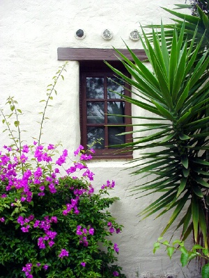 La Ventana