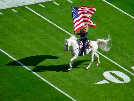 Thunder And The American Flag