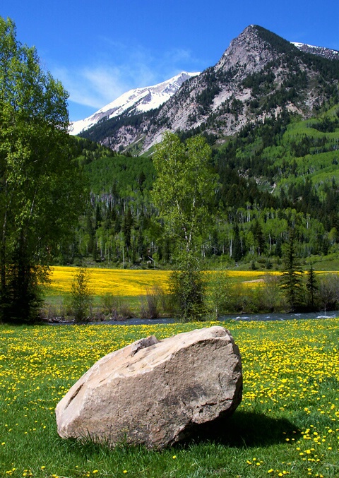 "Spring in the Rockies"