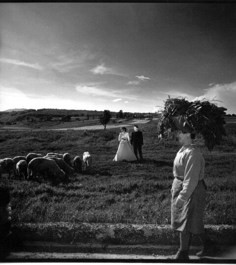 Italian wedding