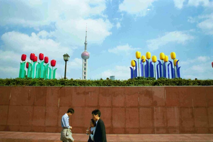 Shanghai Bund & Tulips