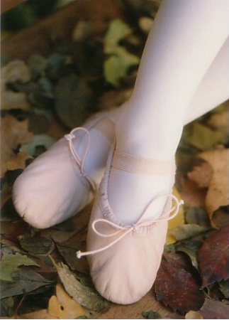 Pink Feet in Leaves