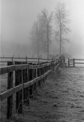 Vanishing in the Mist