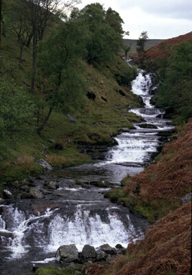 Welch Stream
