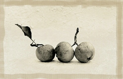 Fallen Apples