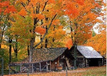 Nature/Landscapes