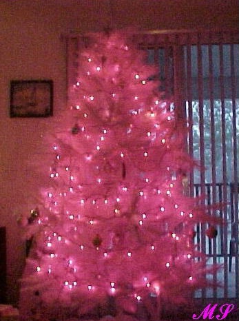 Oh Christmas Tree !
