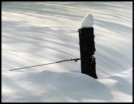 Snow Fence?