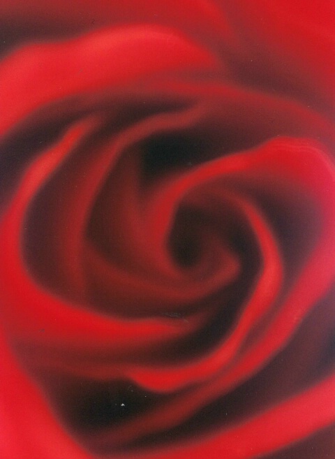 Red Swirl