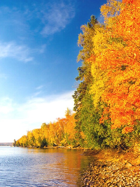 Fall at Lake Superior