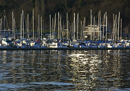 Boats in the afternoon sun.