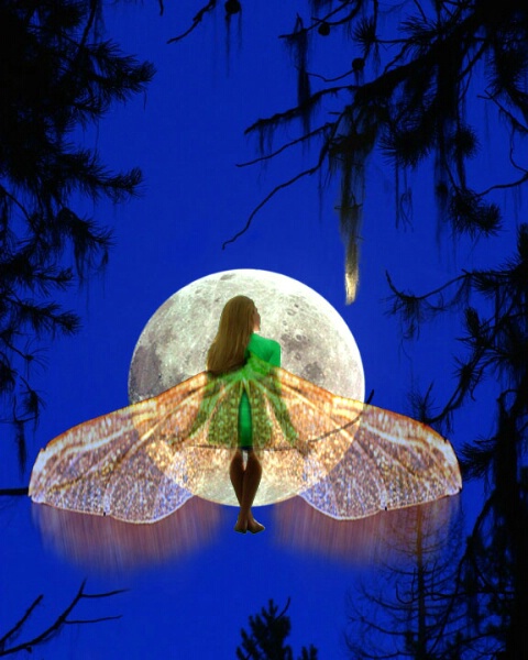 Moon Fairy 3