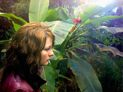 Girl in rain forest