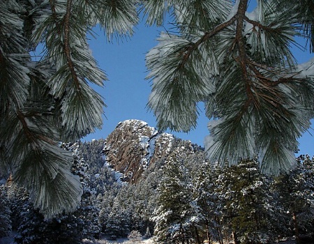 A Snowy Pine Peak At The Flatirons